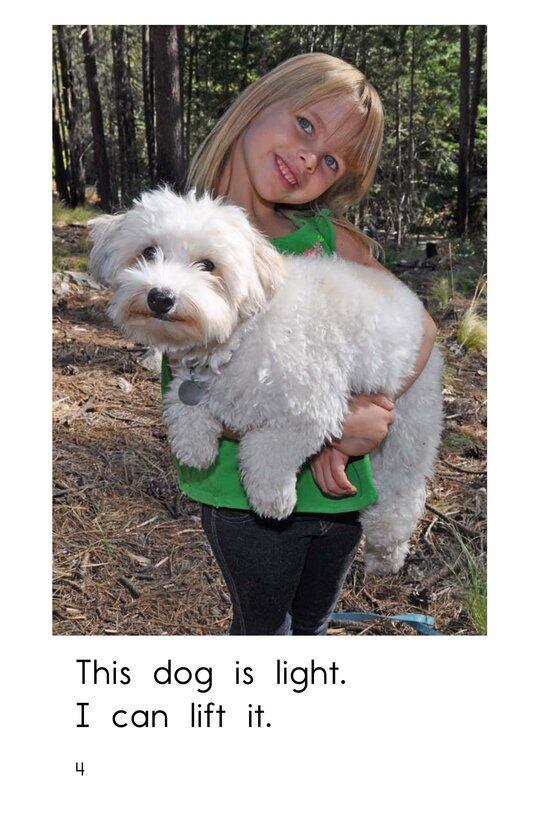 Light and Heavy绘本故事第4页