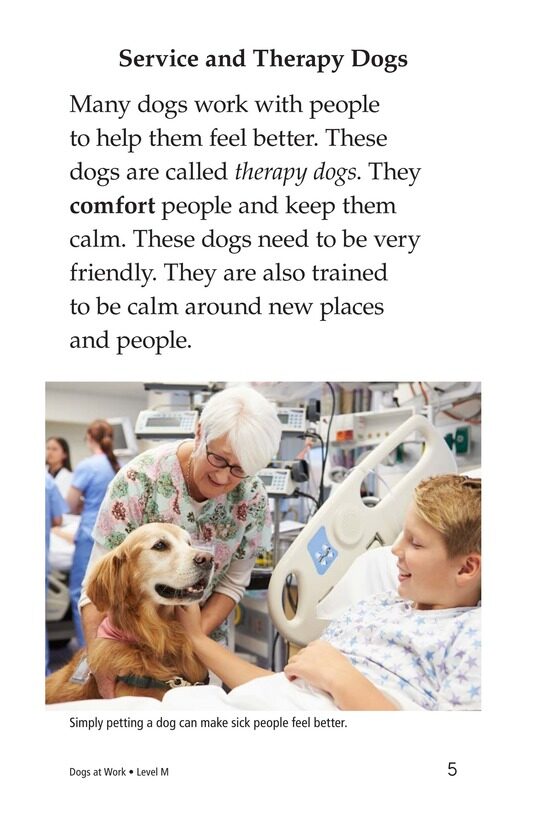 Dogs at Work绘本故事第4页