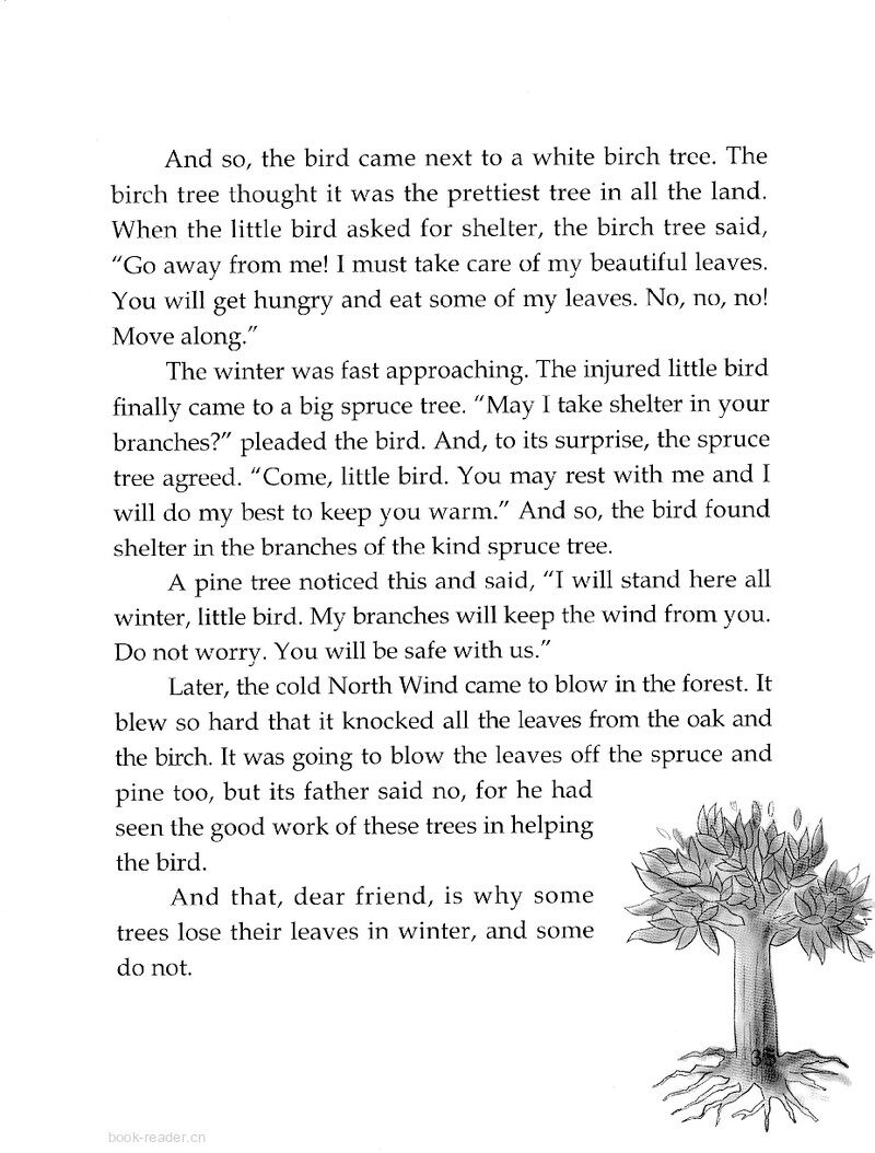 The Evergreen Trees绘本故事第3页