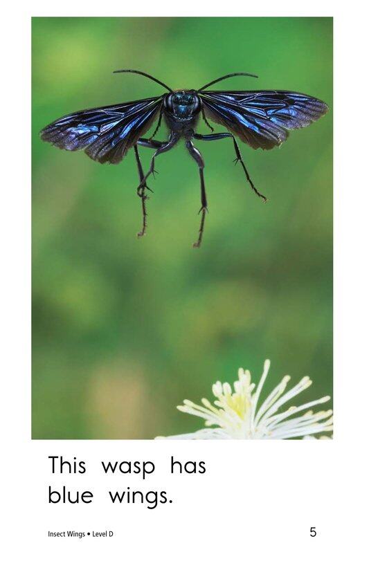 Insect Wings绘本故事第5页