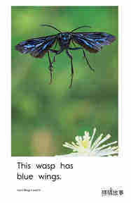 Insect Wings绘本故事第5页