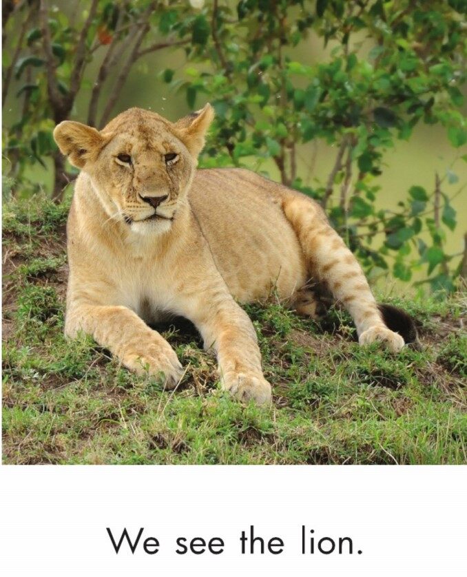 In the Grasslands绘本故事第3页