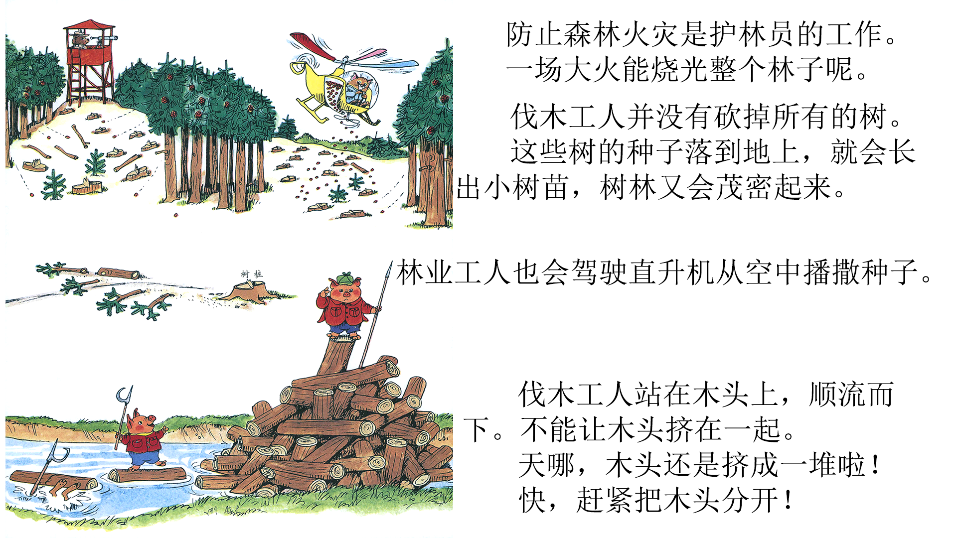 忙忙碌碌镇7：木材厂绘本故事第4页