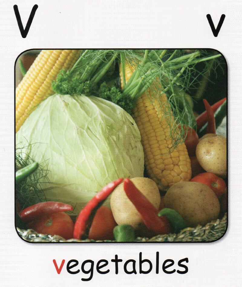 V绘本故事第3页