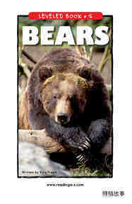 Bears