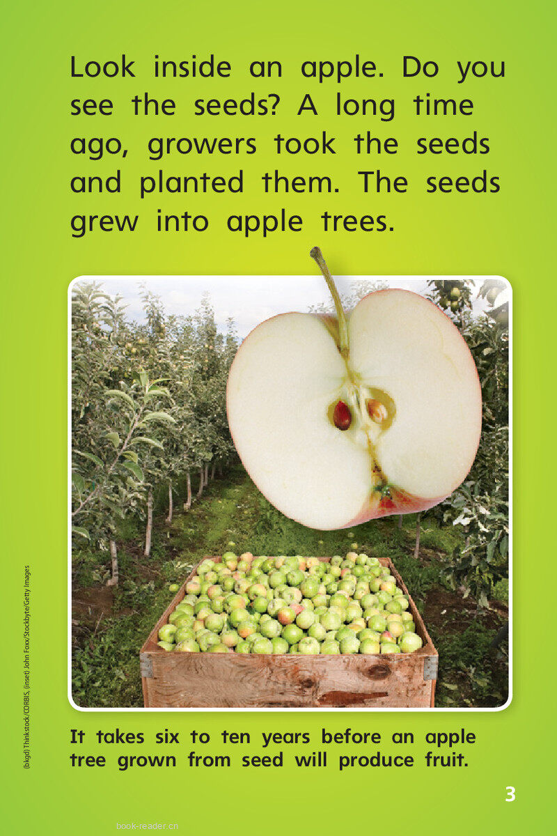 G1 On U3W5 Apples from Farm to Table绘本故事第5页