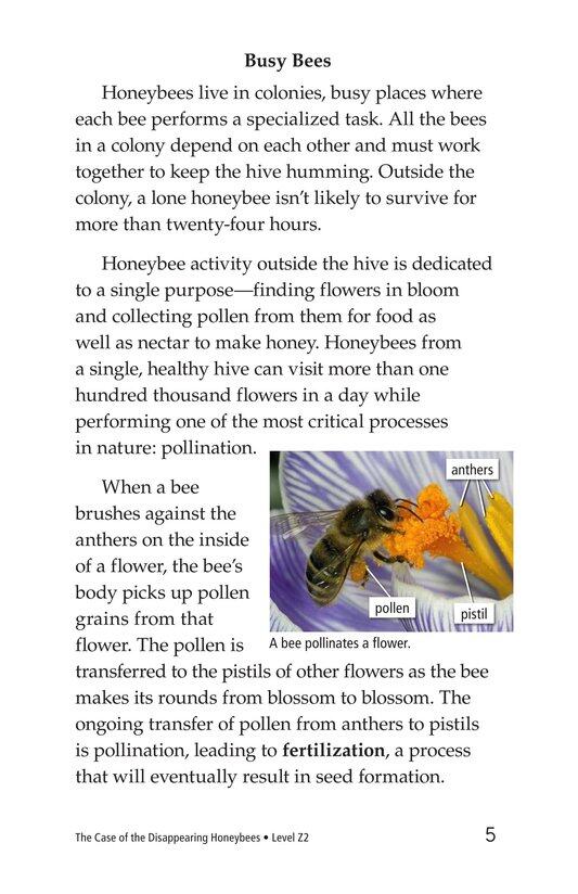 The Case of the Disappearing Honeybees绘本故事第4页