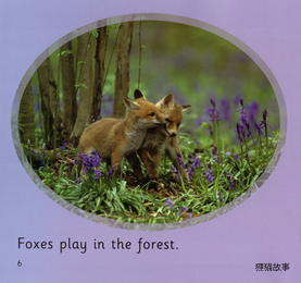 In the Forest绘本故事第5页
