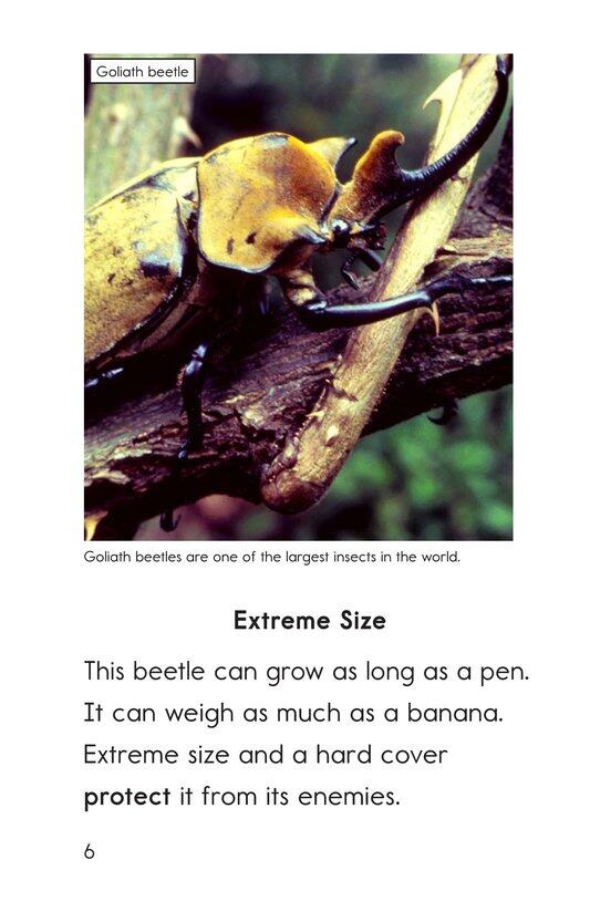 Extreme Insects绘本故事第5页