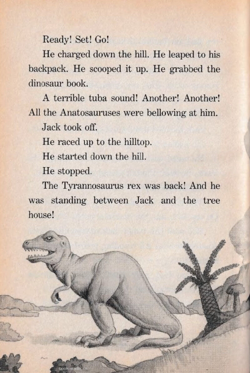 07 Ready,Set,Go!绘本故事第5页