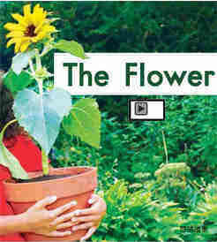 The flower