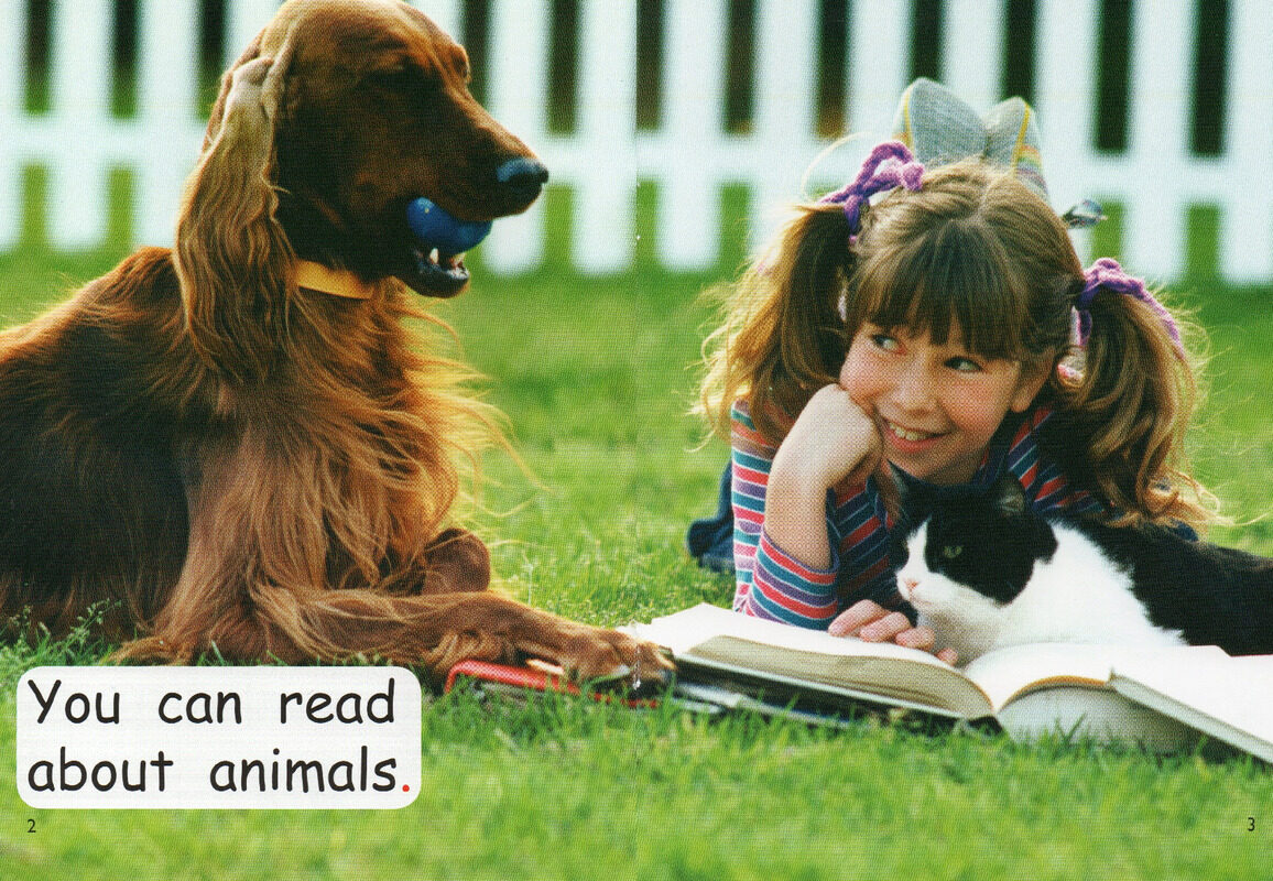 come to thelibrary绘本故事第3页