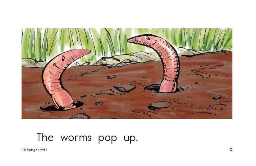 It Is Spring绘本故事第5页