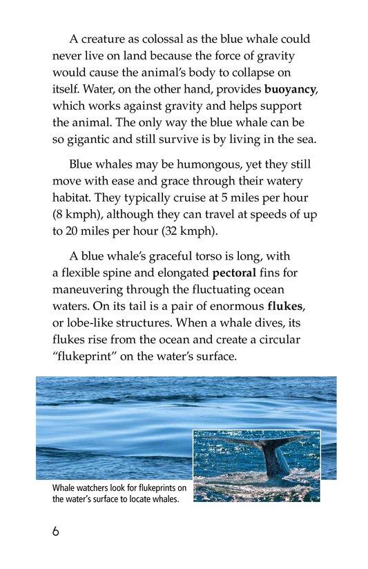 Blue Whales Giant Mammals绘本故事第5页