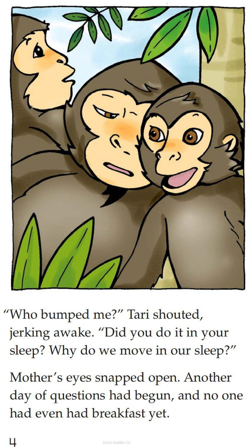 Spider Monkey's Question绘本故事第4页