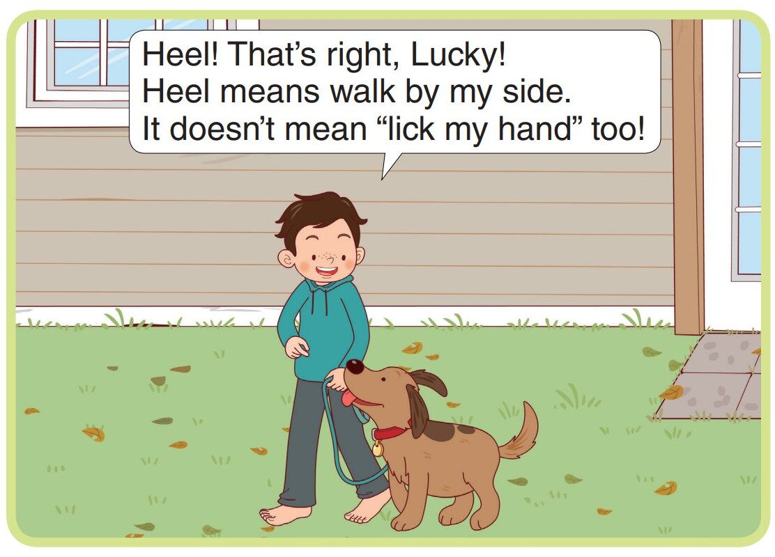 Getting Ready for the Dog Show绘本故事第4页