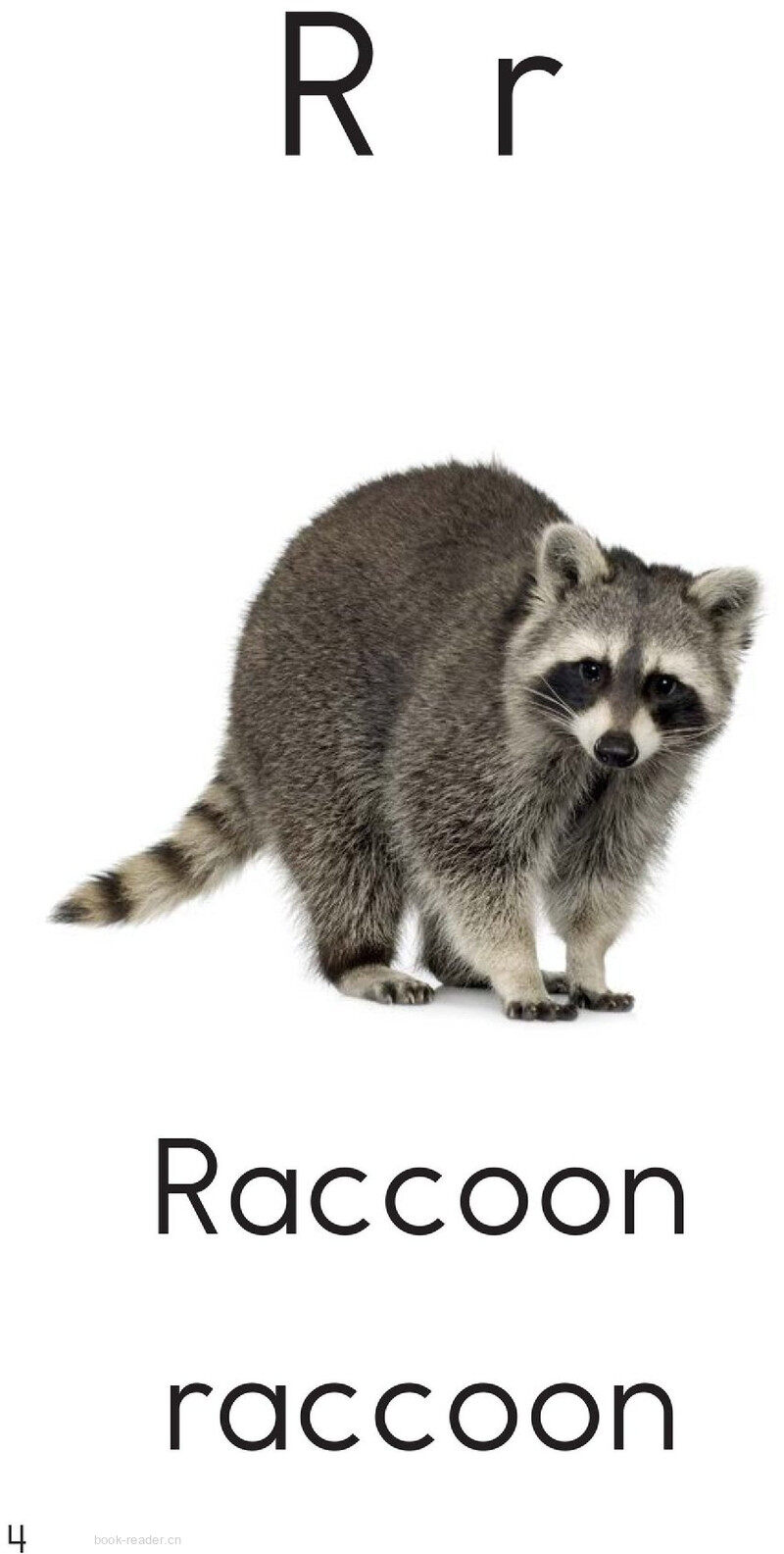 Letter R绘本故事第4页