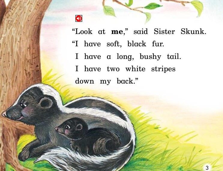 The skunk with No stripes绘本故事第4页