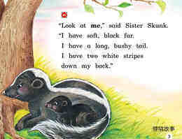 The skunk with No stripes绘本故事第4页