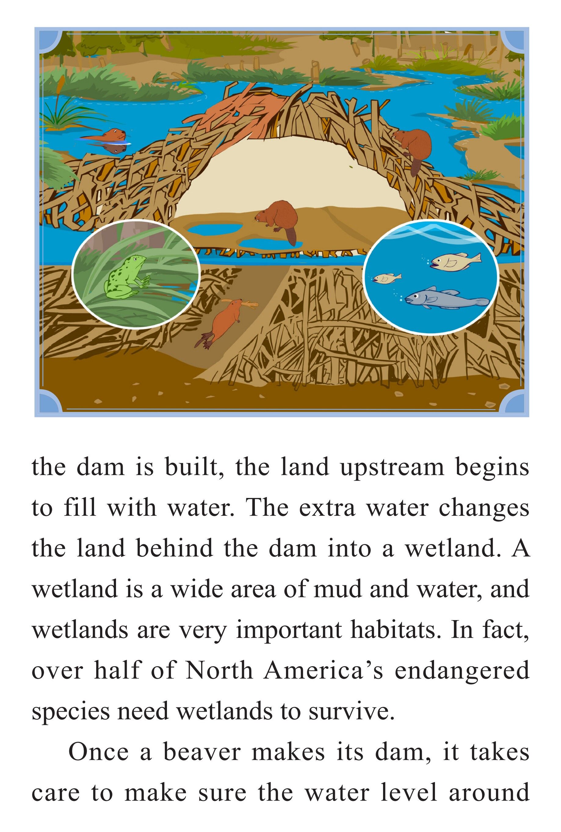 The Clean Beaver绘本故事第5页