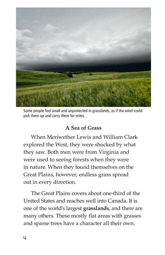 Grasslands绘本故事第3页