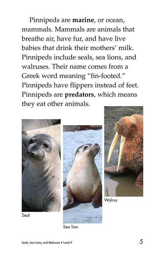 Seals,Sea Lions,and Walruses绘本故事第4页