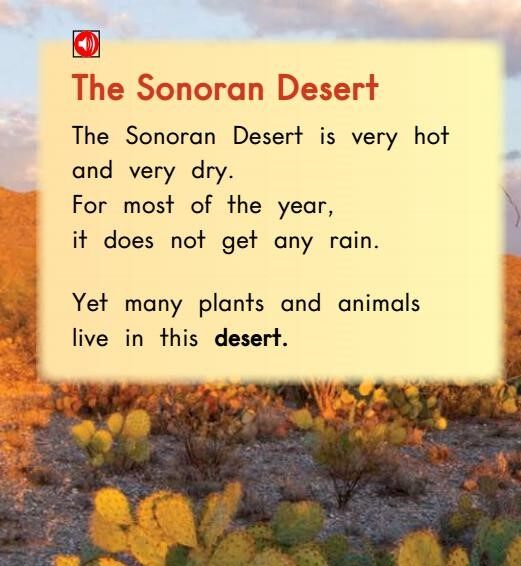 All About The Sonoran Desert绘本故事第3页