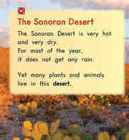 All About The Sonoran Desert绘本故事第3页