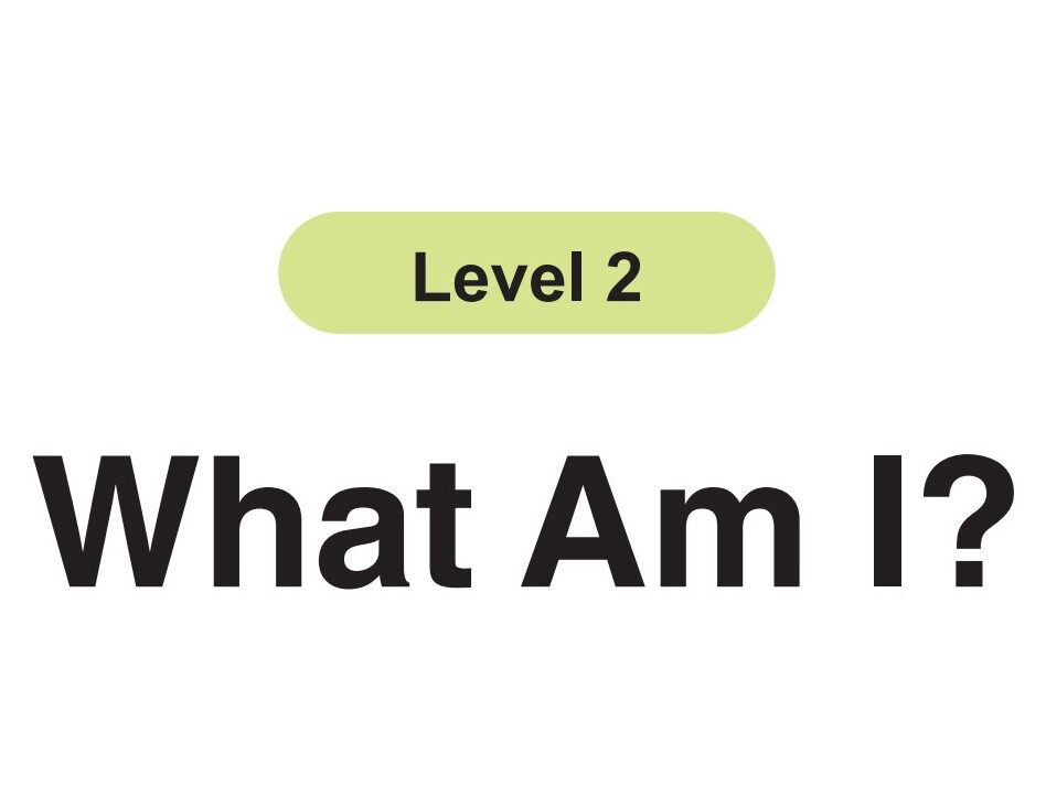 What Am I?绘本故事第2页