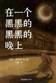 在一个黑黑的黑黑的晚上