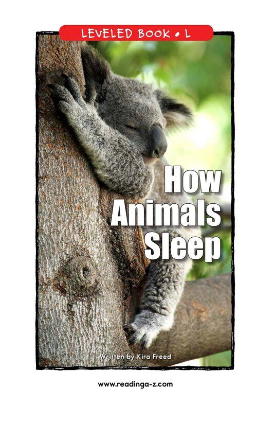 How Animals Sleep绘本故事第2页