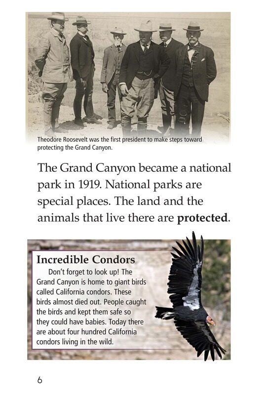 The Grand Canyon绘本故事第5页
