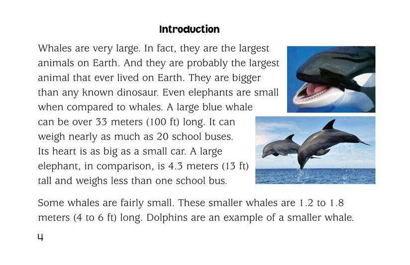 Whales绘本故事第3页