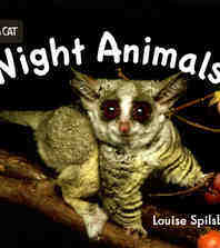 Night Animals