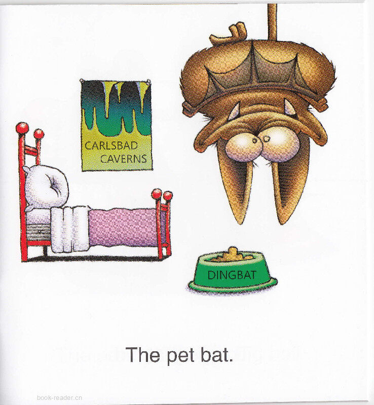 The Pet Bat绘本故事第4页