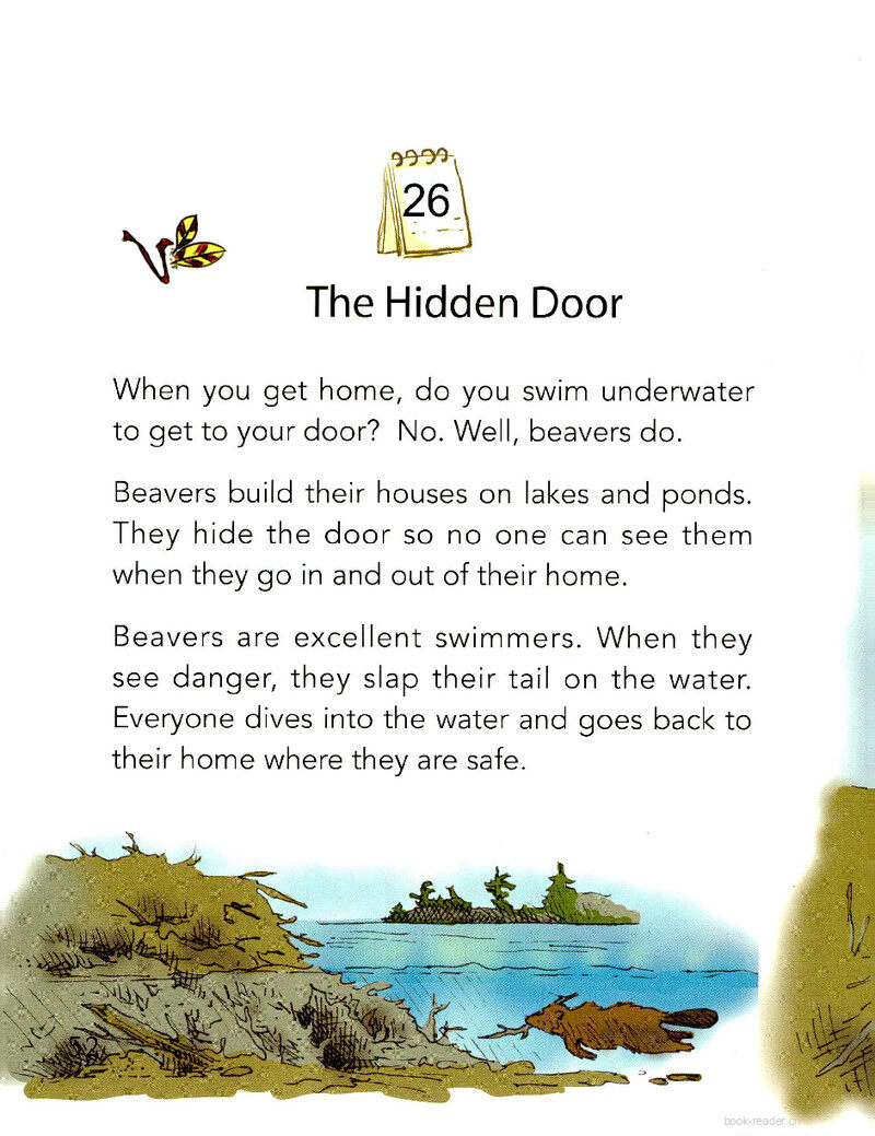 The Hidden Door绘本故事第2页