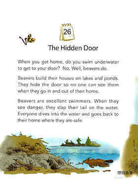 The Hidden Door绘本故事第2页