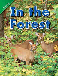 In the forest