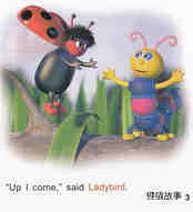 Curly and the log绘本故事第4页