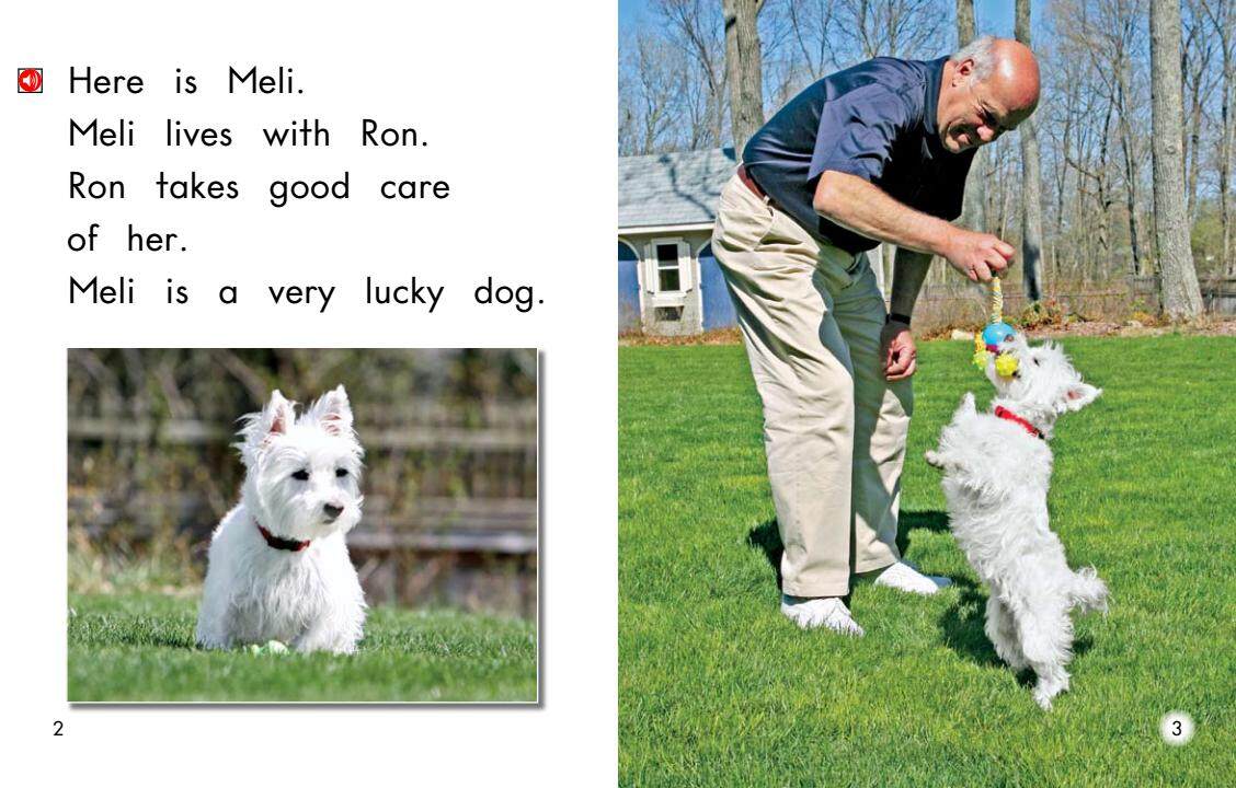 Taking Care of Meli绘本故事第3页