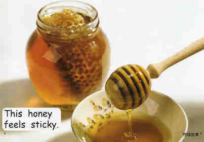 what feels sticky？绘本故事第4页