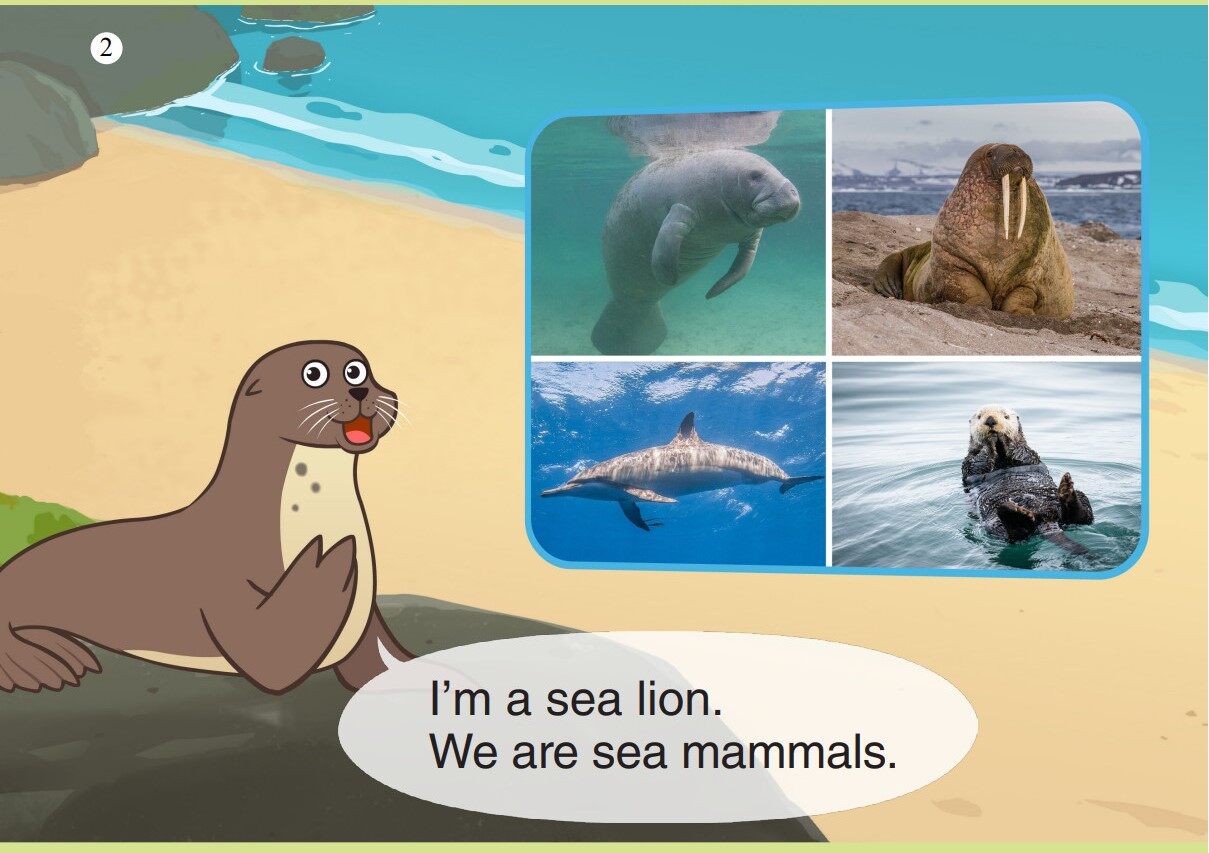 Sea Lion绘本故事第3页