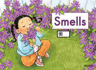 Smells绘本故事第2页