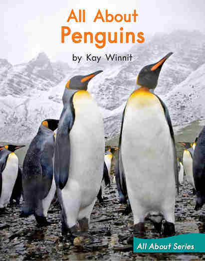 All About Penguins绘本故事第2页