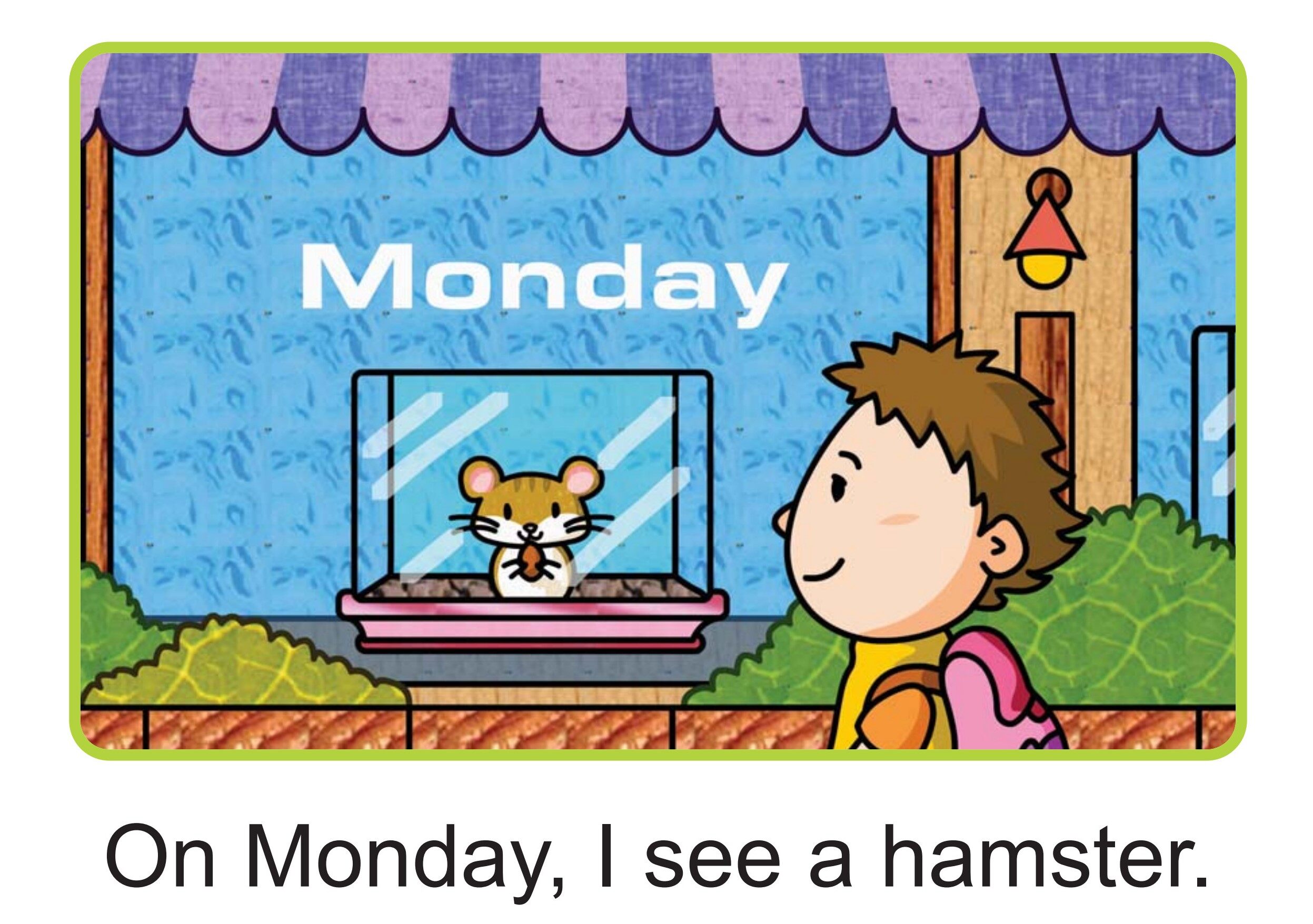 My Pet绘本故事第2页