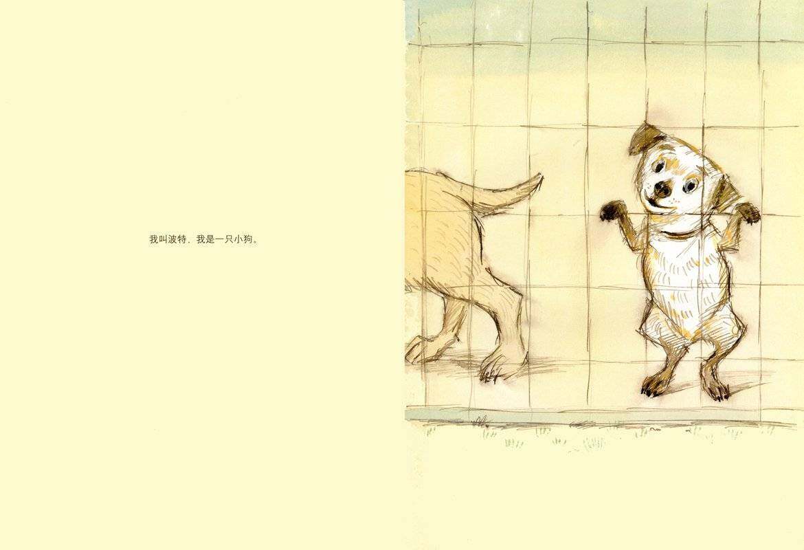 我的名字叫波特绘本故事第2页