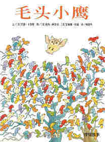 毛头小鹰