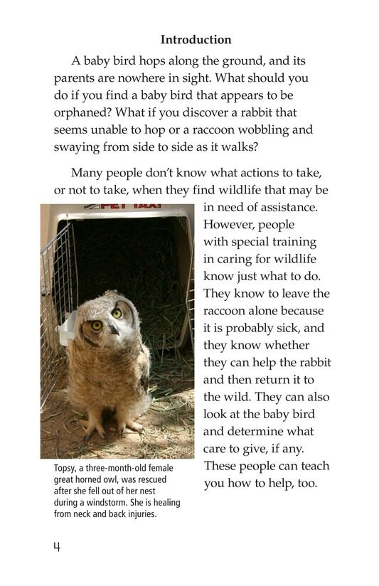 Wildlife Rescue绘本故事第3页