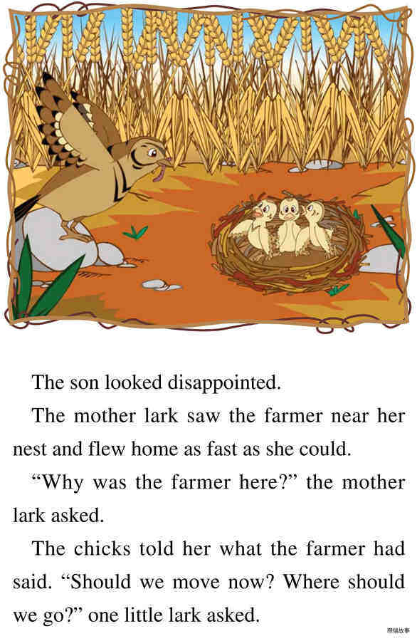 Harvest Time绘本故事第5页