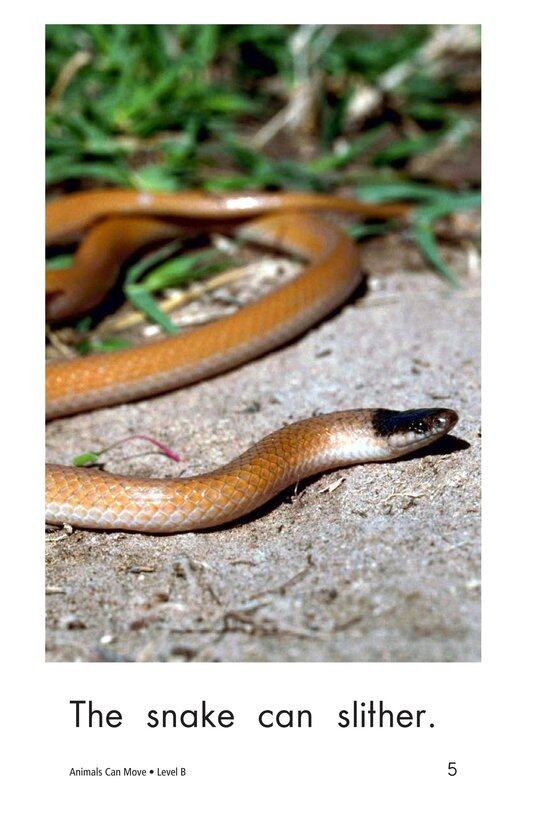 Animals Can Move绘本故事第5页